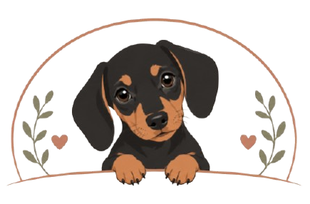 dachshundpuppies